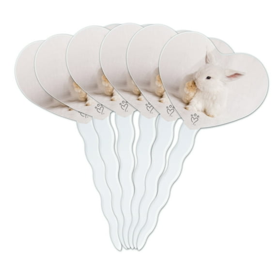 Lop Ears Miniature Bunny Rabbit Heart Love Cupcake Picks Toppers Decoration Set of 6