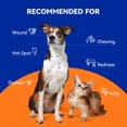 pointail Hot Spot Spray for Dogs & Cats, Dog Wound Care Spray, Hot Spot