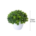 thumbnail image 3 of zhangmingg Bonsai Tree Miniature Potted for Home Desk, 3 of 5