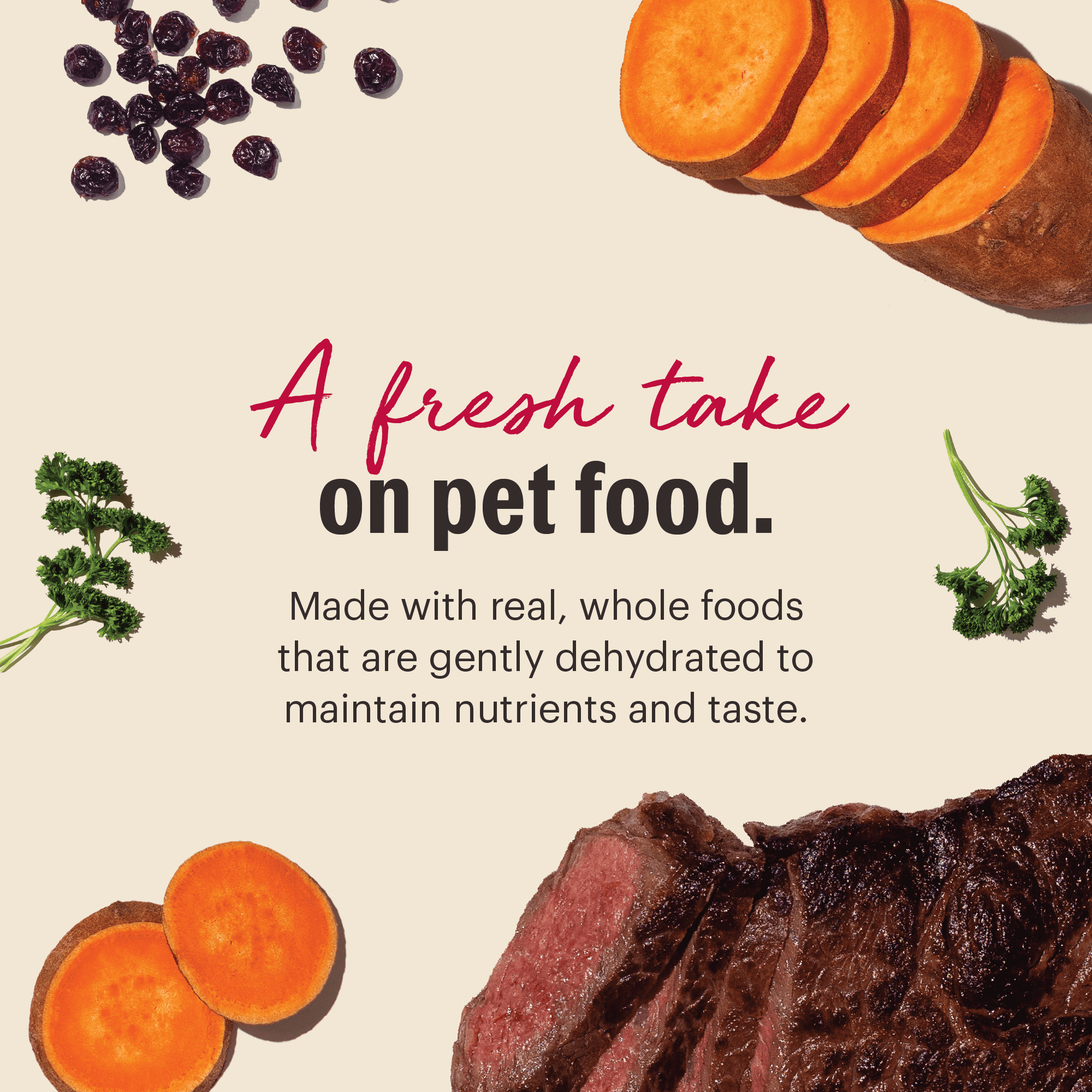 The Honest Kitchen Wholemade Grain Free Beef Recipe, Human Grade Dehydrated Dog Food, Just Add Water, Supports Healthy Digestion, Skin & Coat, Topper for Dry or Wet Dog Food, 2 lb Box Makes 8 lbs