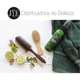 thumbnail image 3 of 3 Frascos de Shampoo de Bergamota JYE Natural 60 ml por envase, 3 of 8