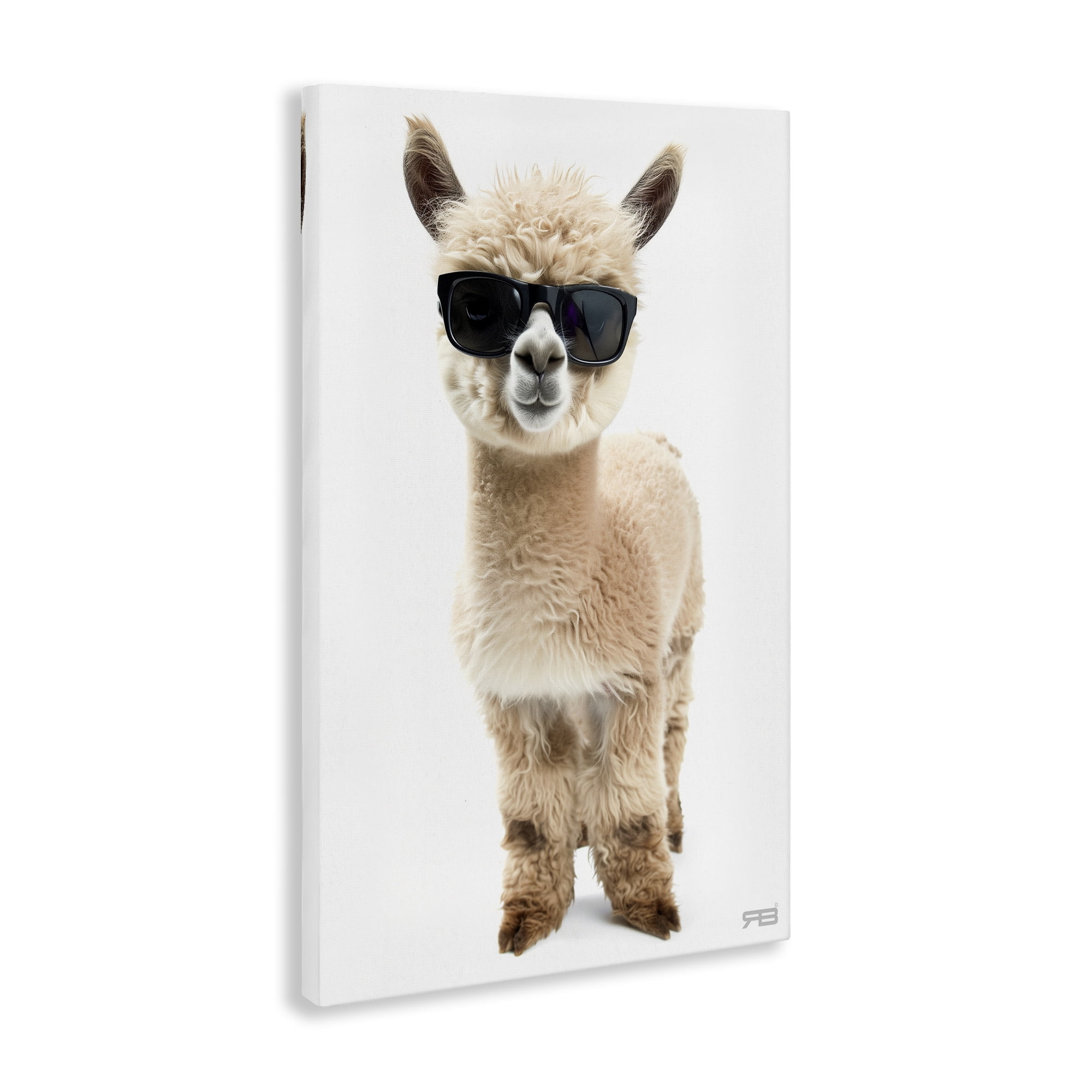 Stupell Industries Cool Alpaca & Glasses Animals & Insects Painting Gallery Wrapped Canvas Art Print Wall Art, 16 x 24