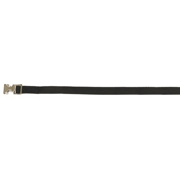 CargoBuckle F14062 Lashing Strap Tie-Down with Pinch Buckle