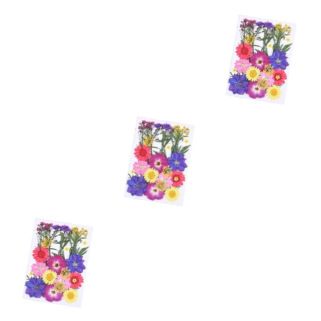 sweethay Ramos de flores secas, flores prensadas, decoraciones de múltiples, hermosos accesorios DIY, suministros para álbumes de recortes, B 3Conjunto