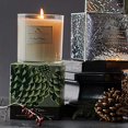 thumbnail image 3 of Soap and Paper Factory Roland Pine Candle, 9.5 oz, 3 of 3