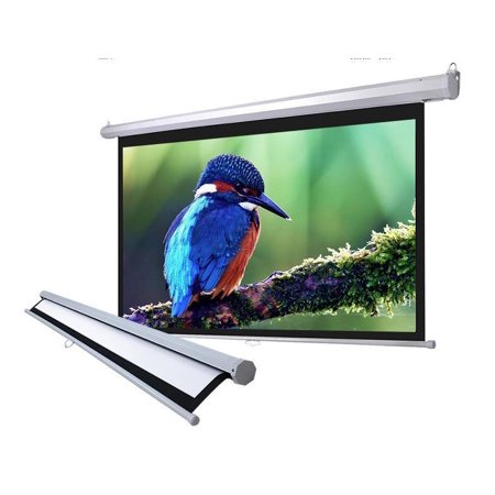Rear Projection Screen Kit - 100