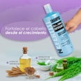 thumbnail image 4 of Shampoo Cola de Caballo Nefertiti Fortificante 1 Lt, 4 of 7