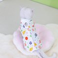 thumbnail image 2 of EastVita Cat Recovery Suit Breathable Cat Surgery Recovery Suit Abdominal Wounds Skin Diseases Protection For Cats After Surgery Washable Cat Surgery Suit For Post-Operative Healing Process, 2 of 8