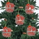 thumbnail image 4 of Decoraciones de Árbol de Navidad 26 Letras Decoraciones Colgantes de Navidad para Artesanías de Bricolaje, 4 of 5