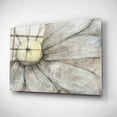 thumbnail image 2 of Epic Art 'Close-Up Daisy I' by Tim O'Toole, Acrylic Glass Wall Art, 16"x12", 2 of 3