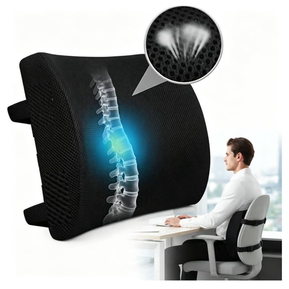 Lumbar Pillow for Chair and Car, Back Support for Office, Memory Foam Cushion with Mesh Cover - Black