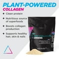Livingood Daily Plant Collagen Powder (Vanilla) Collagen Protein