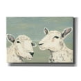 thumbnail image 1 of Epic Graffiti 'Bashful Sheep I' by Jade Reynolds, Canvas Wall Art, 26"x18", 1 of 2