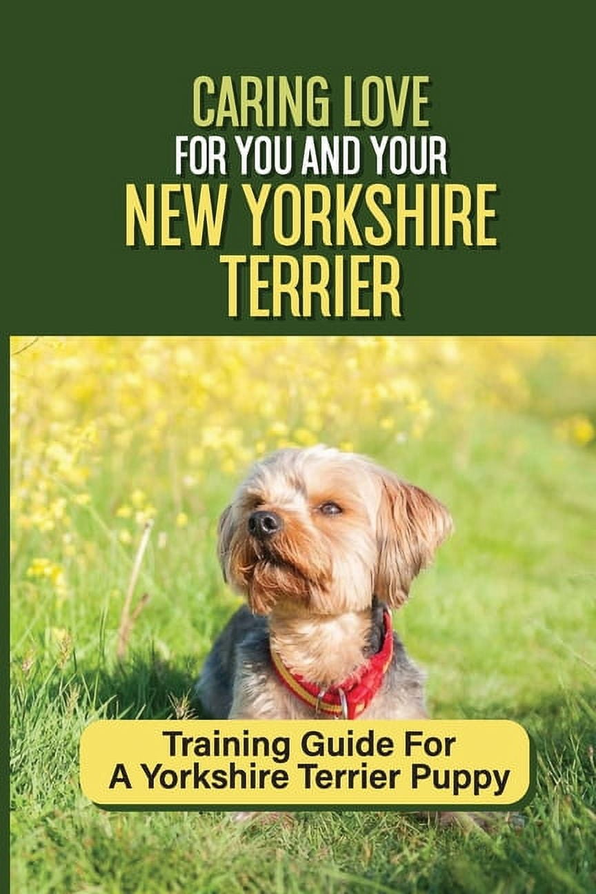 How To Train A Yorkie Dog Yorkie Crate Training Puppy Pads How To