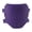 Purple, variant on Electric Dirt Bike Front Number Plate for Motorcycle Accessories, Mud Guard Protection for Off-Road Trail Riding