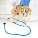 thumbnail image 3 of Portátil de doble propósito estetoscopio veterinario profesional Médicos dispositivo, 3 of 8