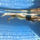 thumbnail image 5 of Trunks de Natacia de Hombres Secos Rápidos Sport Sport Resumen de verano Botsuit Botsuit Botsuit, 5 of 6