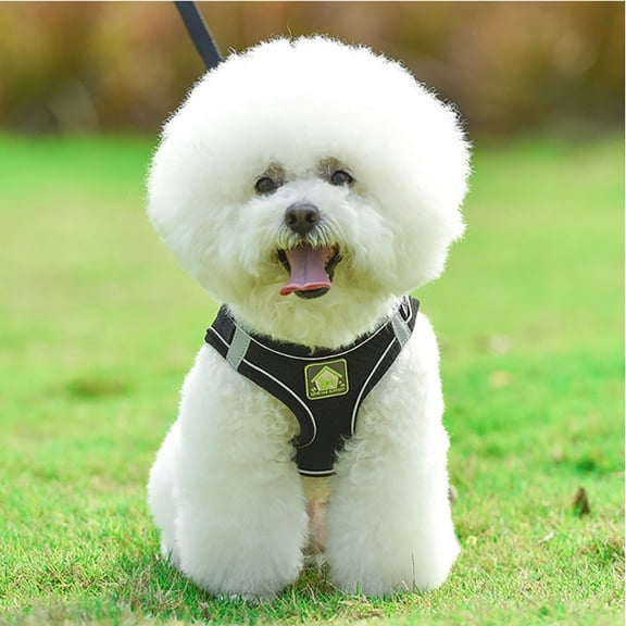 kedshhgu Small Dog Harness and Leash Set,Step in No Chock No Pull Soft Mesh Dog Harnesses Reflective for Extra-Small/Small Medium Puppy Dogs and Cats, Plaid Dog Vest Harness