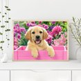 thumbnail image 1 of Cuadros Decorativos Kit de pintura de diamante 5D DIY perro lindo taladro redondo completo mosaico decoración del hogar Ndcxsfigh Nuevos Originales, 1 of 5