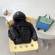 thumbnail image 1 of Diseño de moda y moderno, chaquetas de plumas con capucha para niños y niñas, lindas chaquetas de plumas para niños, regalos de cumpleaños para niños., 1 of 6