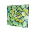 thumbnail image 1 of Plante Succulente Aquarelle - Toile 36"x36 Pouces - Impression à la Demande, 1 of 5