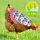 thumbnail image 2 of Fiudx Delantal para Gallinas, Funda Protectora para Alas, Correa Elástica Ajustable, Protector de Plumas, Elegante Diseño de Frutas, Reutilizable y Lavable, Tamaño 22 X 23 Cm, 2 of 6