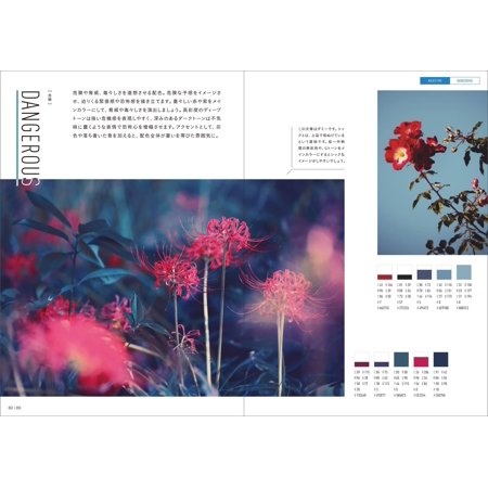 【送料無料】[本/雑誌]/写真から見て探せる配色パターン図鑑/NEOHIMEISM/著