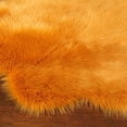 thumbnail image 2 of tooloflife Soft Plush Carpet Anti- Slip Bottom Area Rugs for Home Bedroom Living Room Shaggy Decorative Machine Washed (60*60cm), 2 of 3