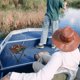 thumbnail image 3 of unbranded Taburete De Camping Pequeño Y Con Patrón Ideal Para Actividades Exteriores, 3 of 8