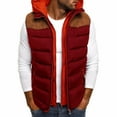 thumbnail image 2 of Men's Autumn and Winter Fashion Loose Casual Color Matching Cotton Hooded Sleeveless Vest, 2 of 5