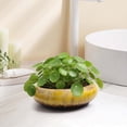 thumbnail image 2 of Dtchengua 7 Inch Ceramic Bonsai Pots with Drainage Hole, Shallow Planter for Indoor Outdoor, Round Planter, Cactus Pot, Office Decor for Plant Lovers,Yellow, 2 of 6