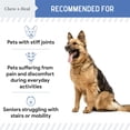 thumbnail image 6 of Chew + Heal Liquid Hip and Joint Supplement for Dogs Liquid Glucosamine - 16 oz - Bacon Flavored - Advanced Mobility Support, 6 of 9
