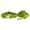Green, variant on HQREA Wedding Dog Collar and Leash Set with Metal Buckle Adjustable Medium Large Dog Collar Exquisite Lace Necklace Girl