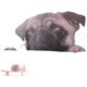 thumbnail image 1 of Calcomanías para ventana de coche con diseño divertido de perro pug y caracol en 3D para decoración de pared del hogar, 1 of 5