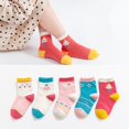 thumbnail image 1 of 5 par/lote de Calcetines bonitos para niñas, Calcetines de algodón con rayas de arco iris de otoño para niños, Calcetines para niños pequeños, Calcetines para niños de 1 a 12 años Tan Jianjun unisex, 1 of 2