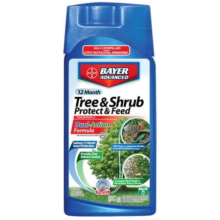 Bayer Advanced 12 Month Tree and Shrub Protect and Feed (Best Fertilizer For Shrubs)