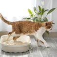 thumbnail image 6 of PURPURLAND Tofu Cat Litter -8.8/17.6LBS (2/4Packs) Corn Starch Blend, Flushable & Dust-Free, Quick Clumping, Superior Odor Control, Unscented, Low Tracking Pellets, Lightweight, 6 of 6