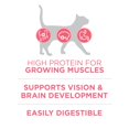 thumbnail image 4 of Purina One Cat Food Healthy Kitten Formula 3.5 lb Bag (Pack of 10), 4 of 10