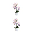 thumbnail image 3 of Kearding Planta artificial apta para mascotas e inodoro para decoración del hogar no tóxica Flor de bonsái artificial BF2312087 BF2312087 2piezas, 3 of 6