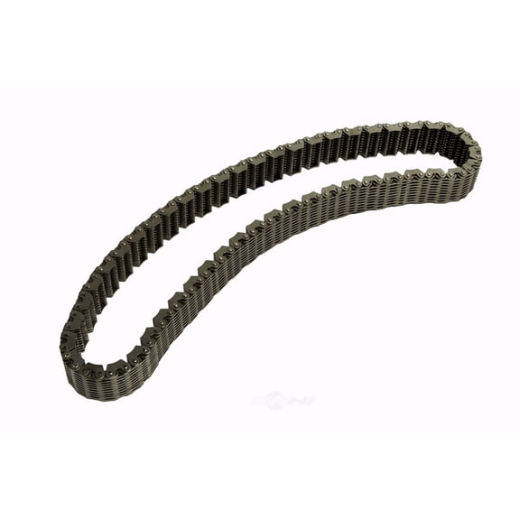 Transfer Case Drive Chain