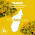 thumbnail image 5 of Aceite Esencial Ylang Ylang Handcraft Blends 30 ml Puro, 5 of 5