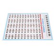 thumbnail image 3 of Piano Chords Poster, Clearness Piano Chords, Guitar School Practice Chords Musical Instrument Accessories Students Fingering Classrooms For Home Bass, 3 of 8