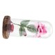 thumbnail image 5 of Rosa del Principito, Flor de Rosa eterna preservada con Cadena LED en cúpula de Vidrio.Buen Regalo para Novia, día de San Valentín, día de Las Madres (Rojo)(Rosado) Ecomeon no, 5 of 6
