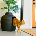 thumbnail image 4 of Caja de Arena Oculta Good Pet Stuff Gamuza Negra con Plantas Artificiales y Filtro de Olor para Gato, 4 of 14