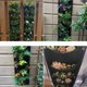thumbnail image 4 of Bolsas de cultivo colgantes con 7 bolsillos, macetas verticales para colgar en la pared, para decoración del hogar, jardín y patio (negro), 4 of 4