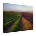 thumbnail image 2 of Canvas Wall Art - Rostovskiy Anton 'Field Of Lavender' Wall Art for Living Room, Bedroom, or Office Décor by Trademark Fine Art - 24 x 18 Inches, 2 of 4