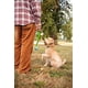 thumbnail image 5 of Pelotas de Golf Chuckit! Fetch Medley Multicolor Medium 2.5 Inch 3 Unidades, 5 of 10