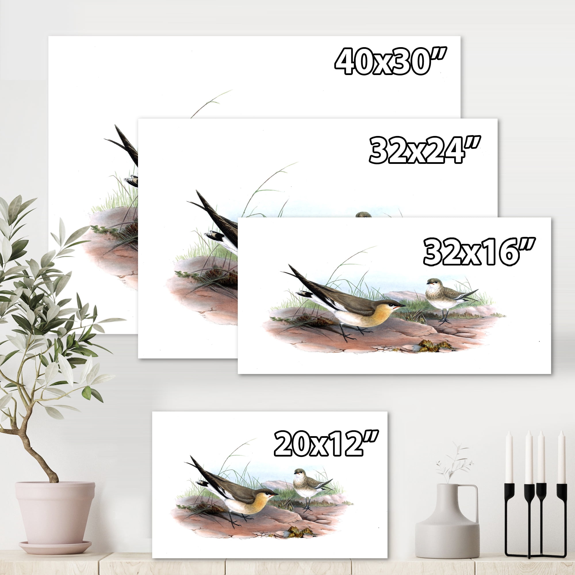 Designart ' Ancient Bird Illustration II ' Farmhouse Canvas Wall Art Print