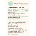 thumbnail image 4 of HerbEra Marshmallow Leaf Tincture, Herbal Dietary Supplement for Digestive Support, Marshmallow (Althaea officinalis) Dried Leaf Extract, Natural, Alcohol-Free, Drops 2 oz, 4 of 8