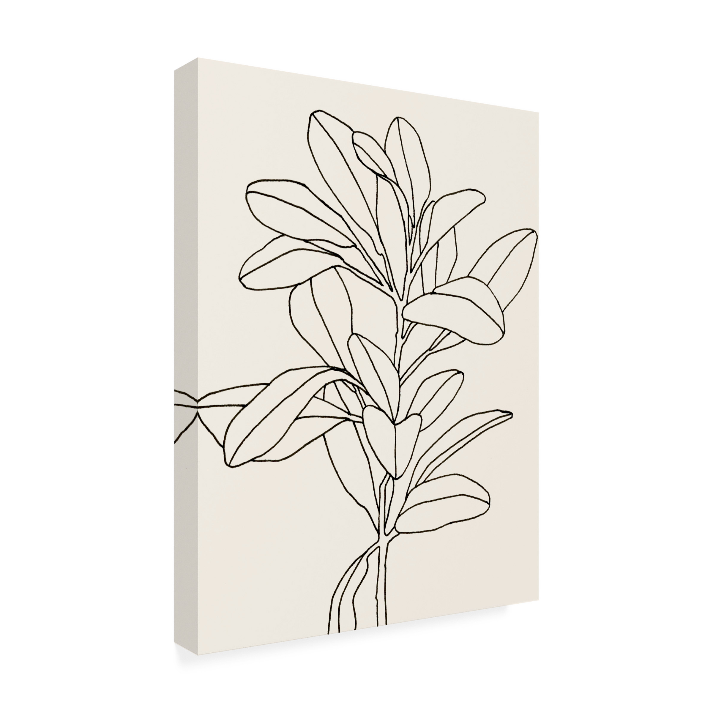 Emma Scarvey 'Olive Branch Contour II' Canvas Art
